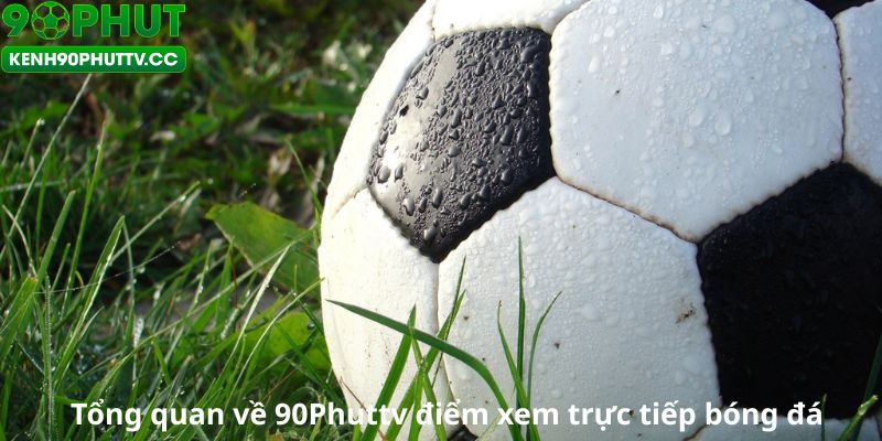 Tổng quan về 90Phuttv điểm xem trực tiếp bóng đá